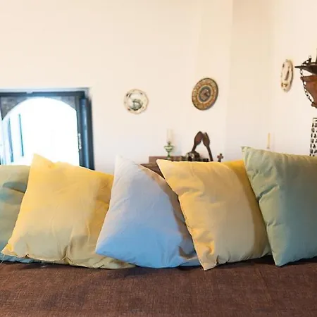 Il Palmento Del Vulcano *