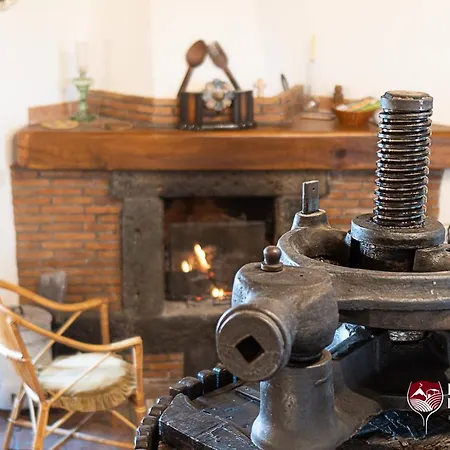 Il Palmento Del Vulcano *