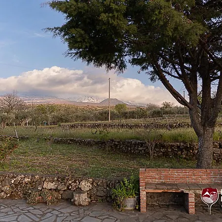 Il Palmento Del Vulcano * ブロンテ