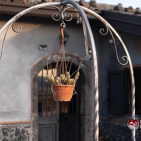 Il Palmento Del Vulcano * ブロンテ